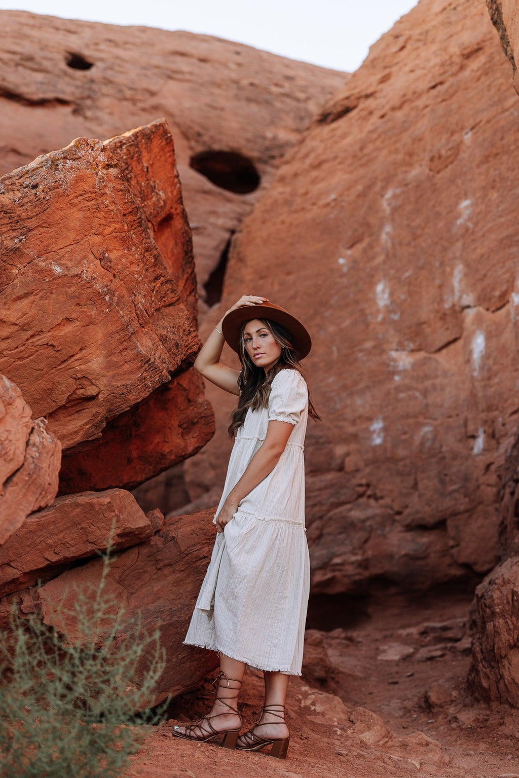 Ilia Cotton Midi Dress In Taupe