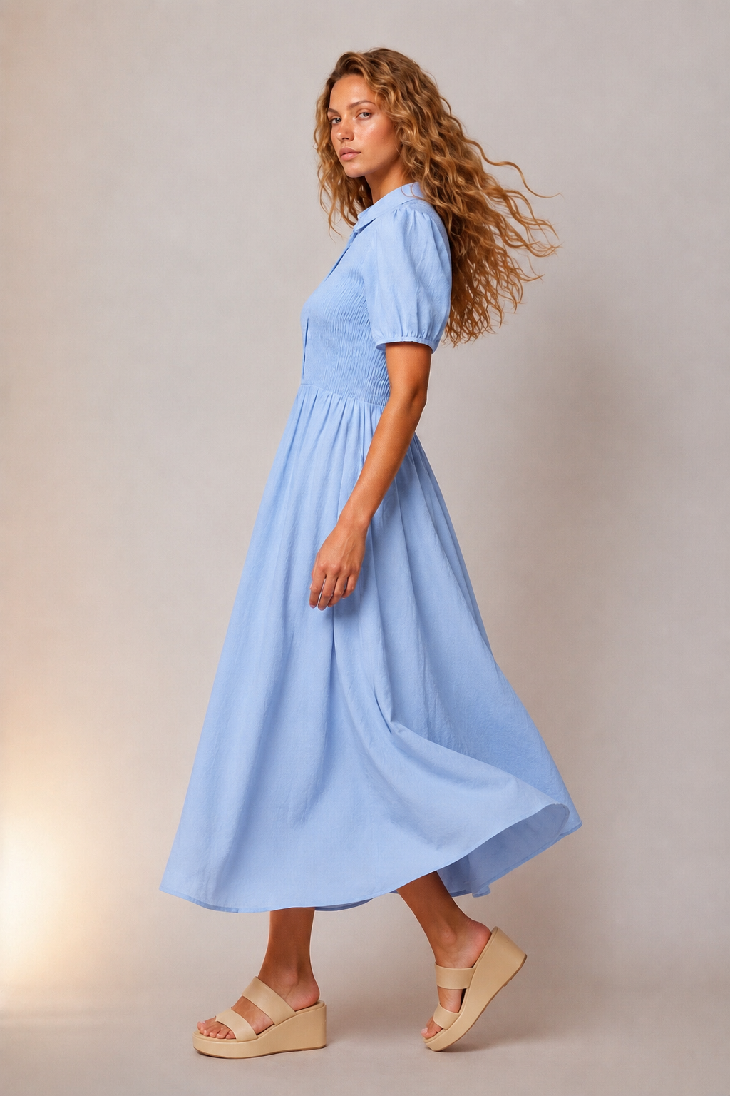 Jenna Smocked Collared Dress in Blue